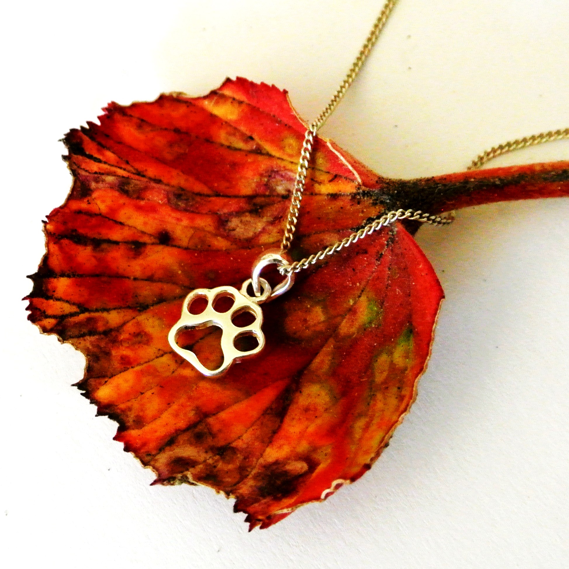 Paw Necklace - Image 5