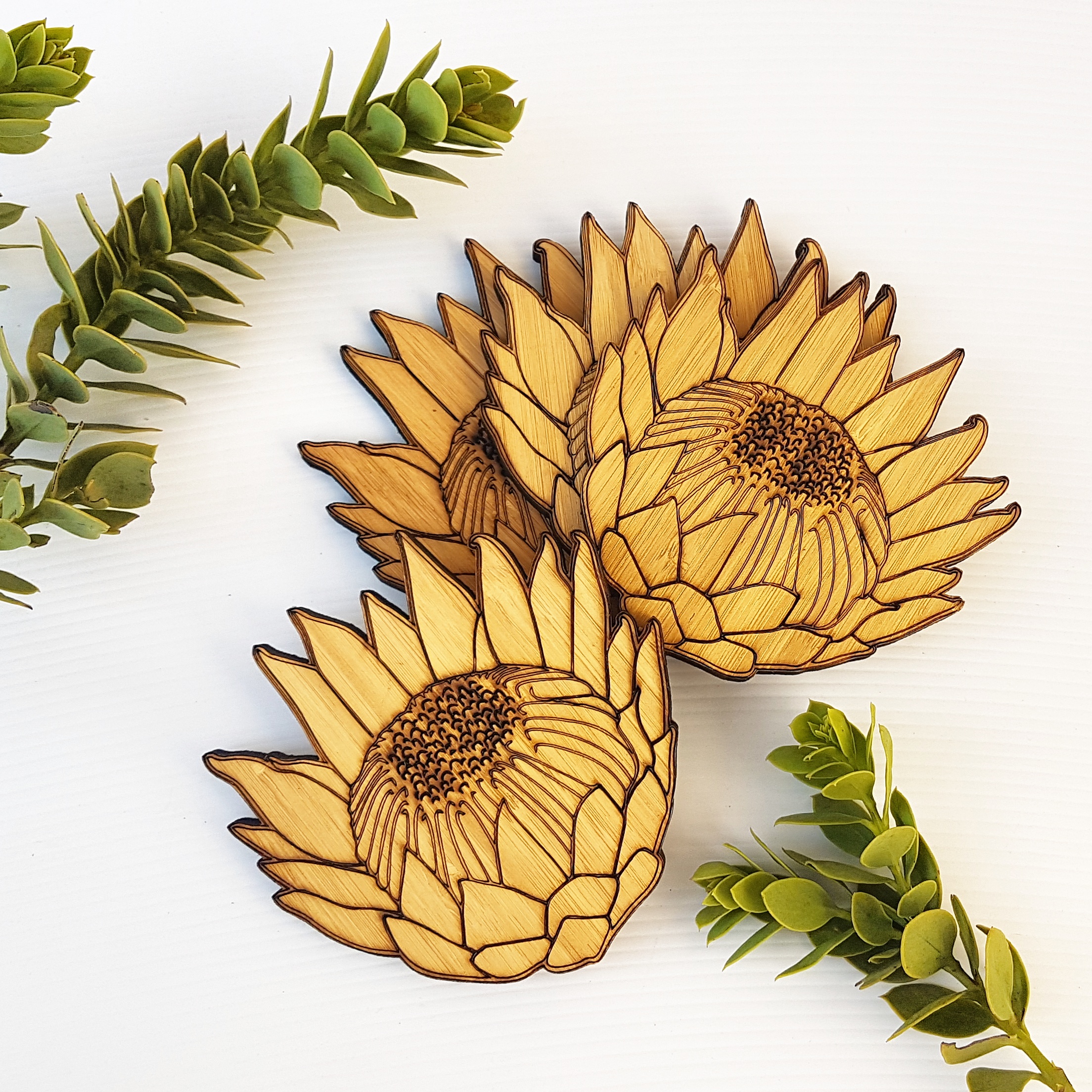King Protea Bamboo Coasters