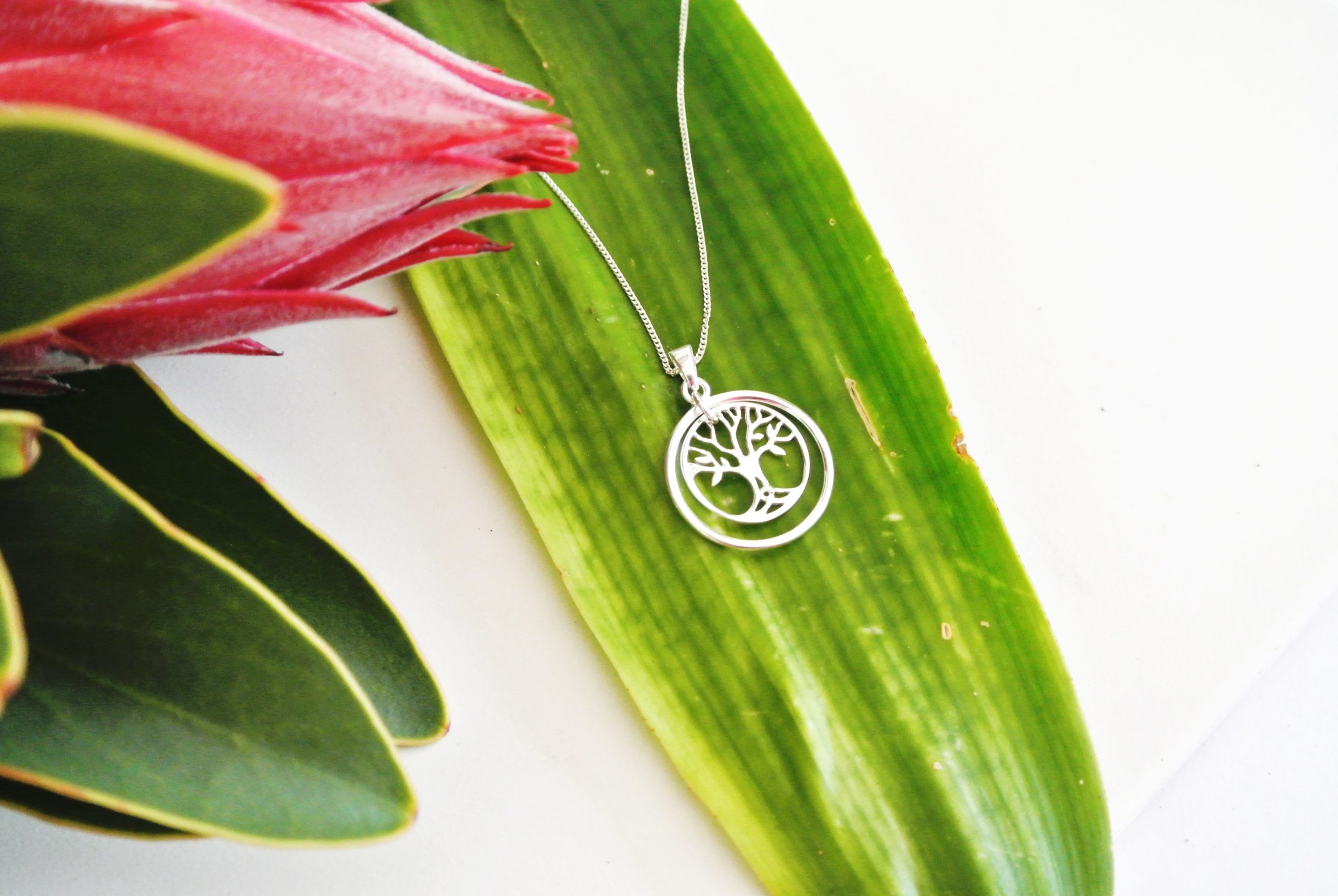 Tree Of Life Double Circle Necklace