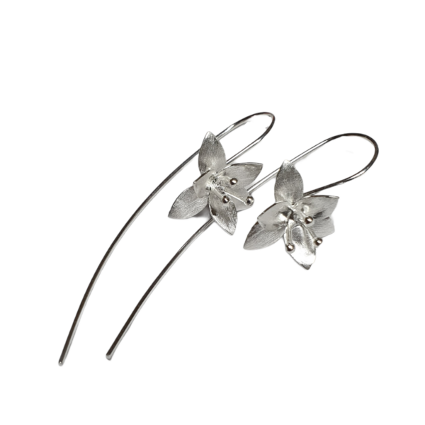 Iris Drops – Small
