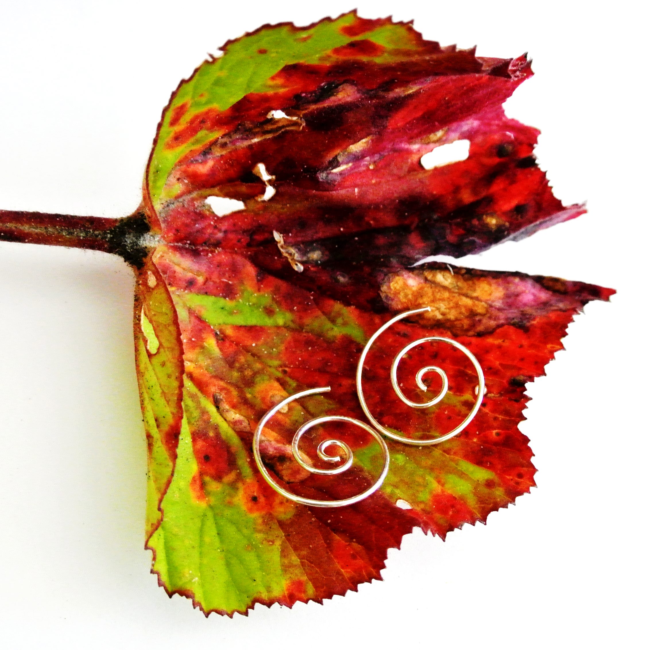 Small Spiral Hoops - Image 2