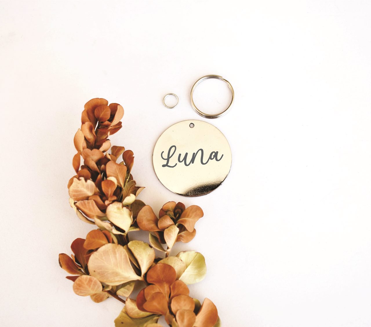 Classic Circle Pet ID Tag- Stainless Steel Dog and Cat Tag - Image 2