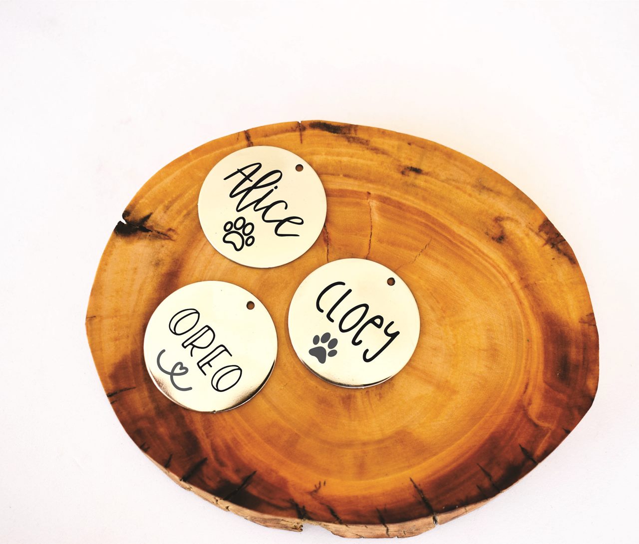 Classic Circle Pet ID Tag- Stainless Steel Dog and Cat Tag - Image 5