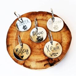 Classic Circle Pet ID Tag- Stainless Steel Dog and Cat Tag