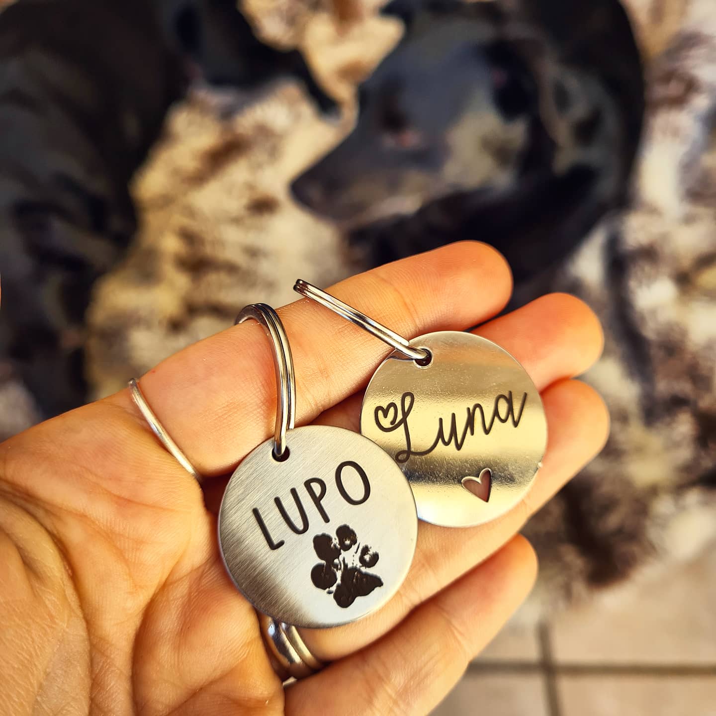Classic Circle Pet ID Tag- Stainless Steel Dog and Cat Tag - Image 6