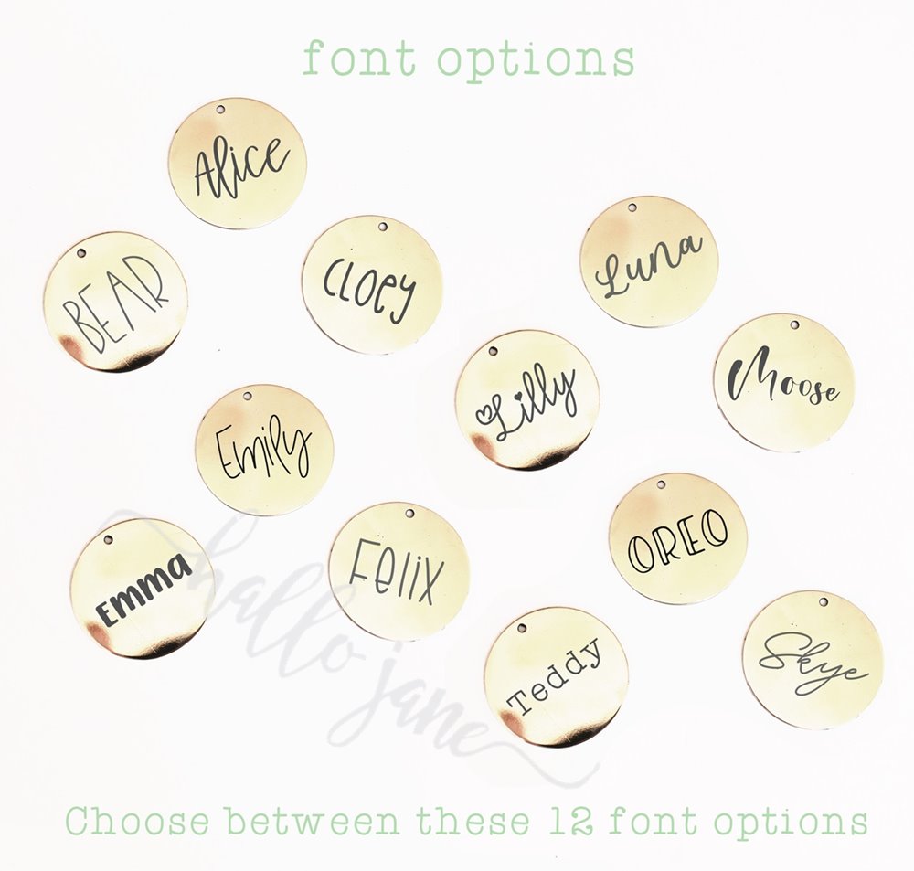 Classic Circle Pet ID Tag- Stainless Steel Dog and Cat Tag - Image 7