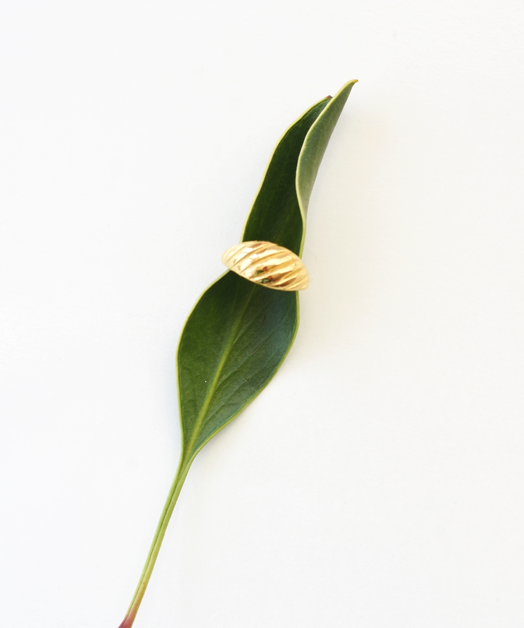 Twisted Dome Statement Ring – 18K Gold Waterproof - Image 2