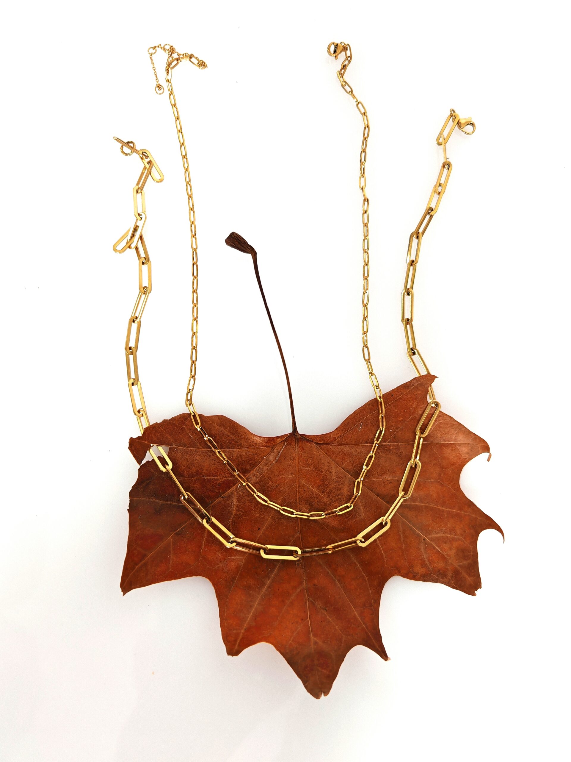 Classic Paperclip Necklace (Modern & Dainty) – 14k Gold Waterproof - Image 2